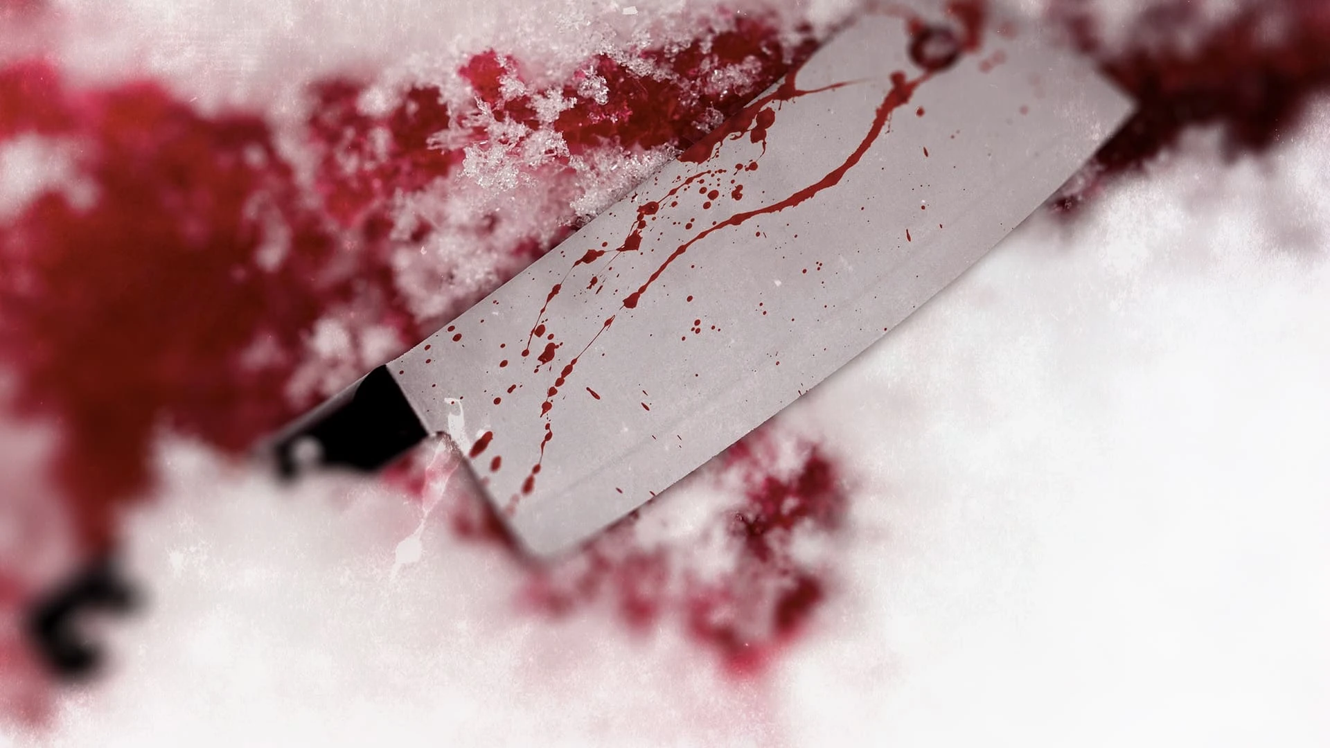 Foto de True Nordic Crimes