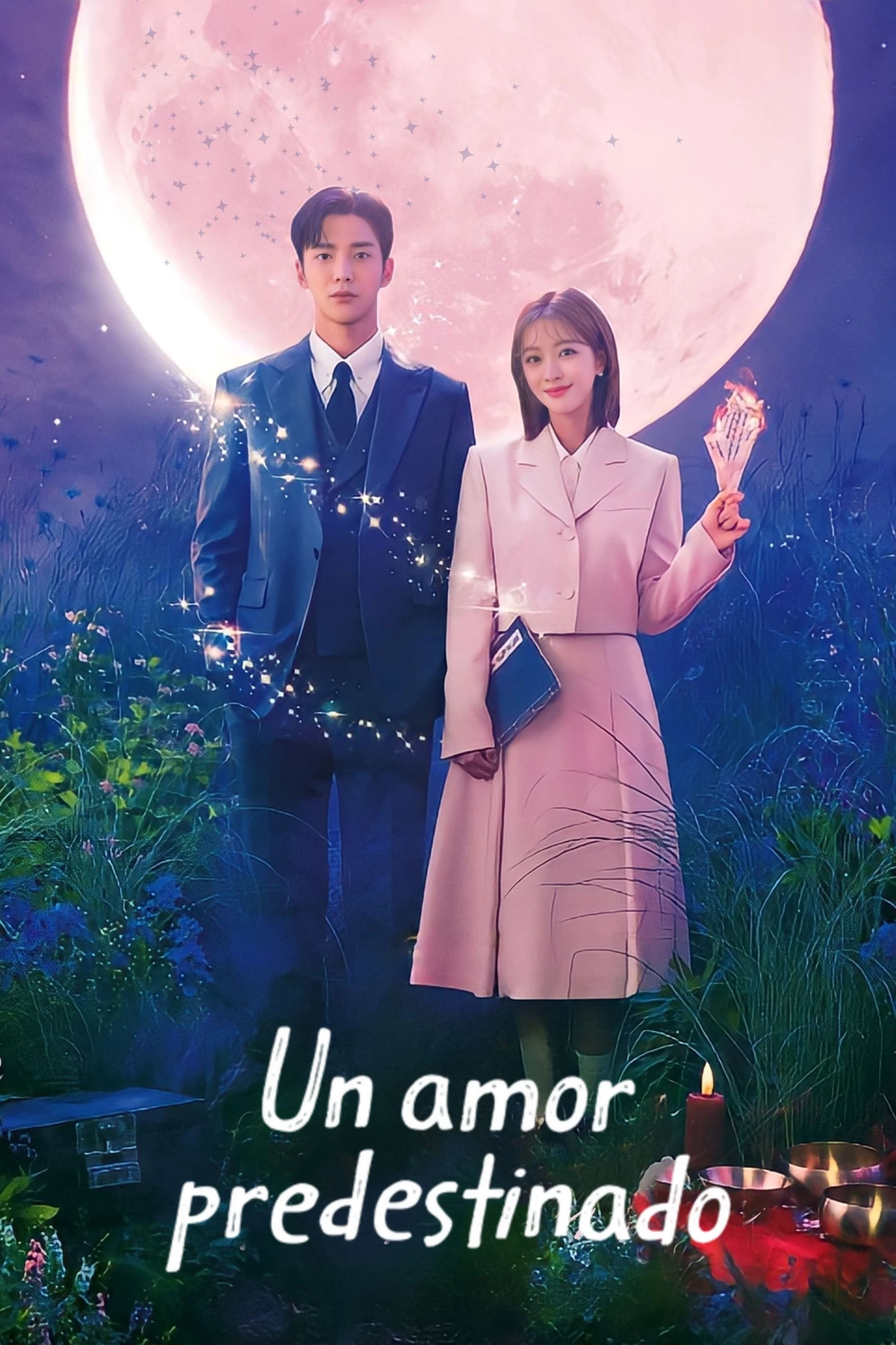 Poster  de Destined with You en español