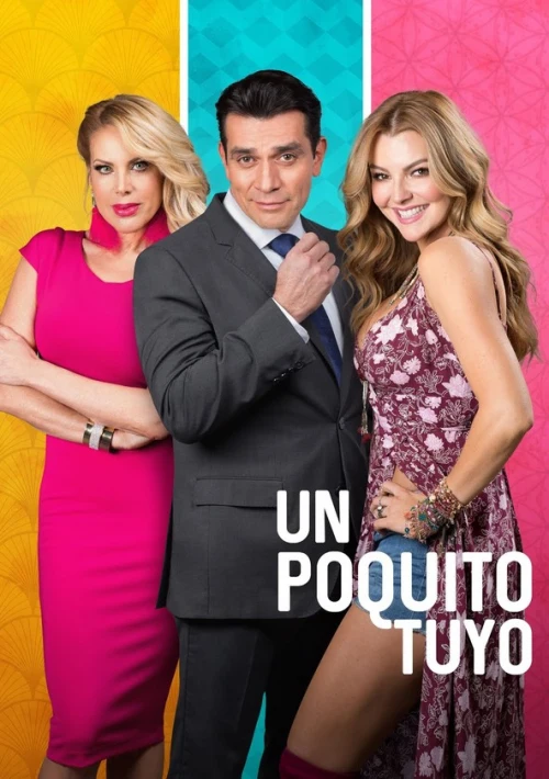 Poster  de la temporada 1 de A Little Bit of You