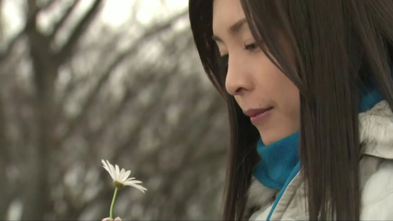 Foto de Flower Shop Without Rose