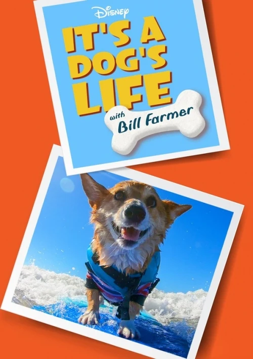Poster  de It's a Dog's Life with Bill Farmer