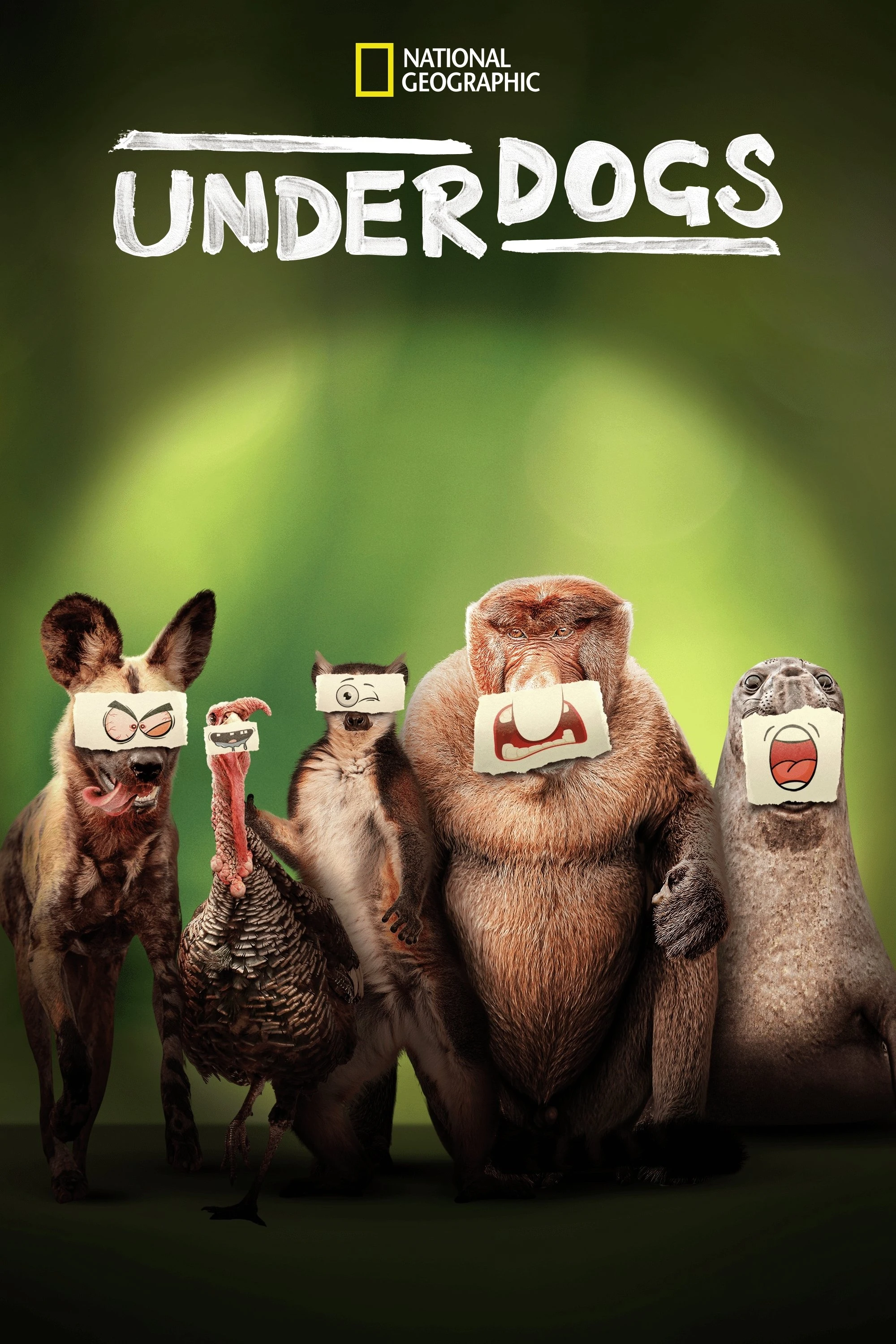 Poster  de Underdogs en inglés