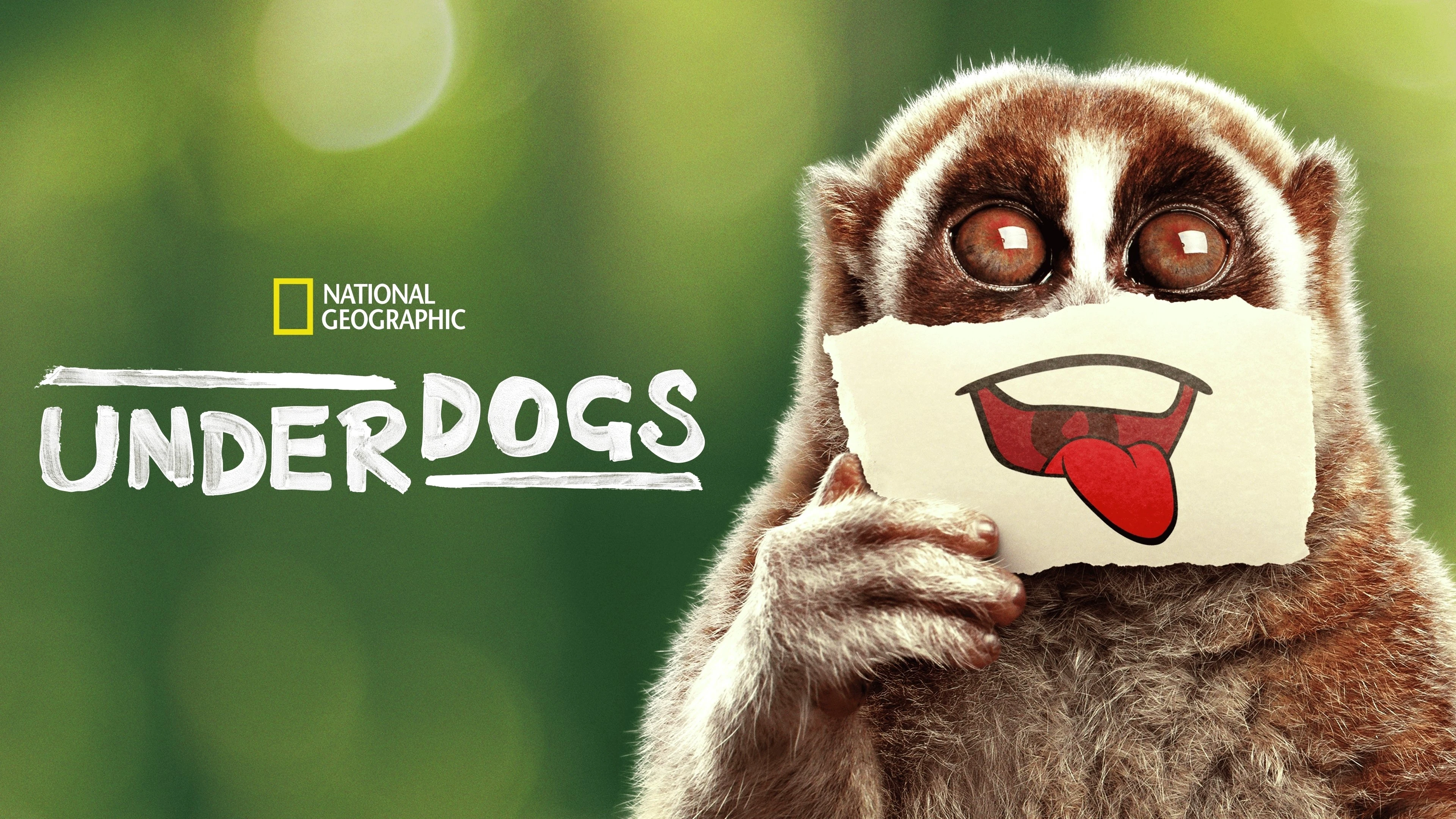 Foto de Underdogs