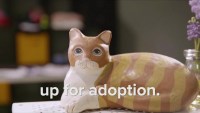 Serie Up for Adoption