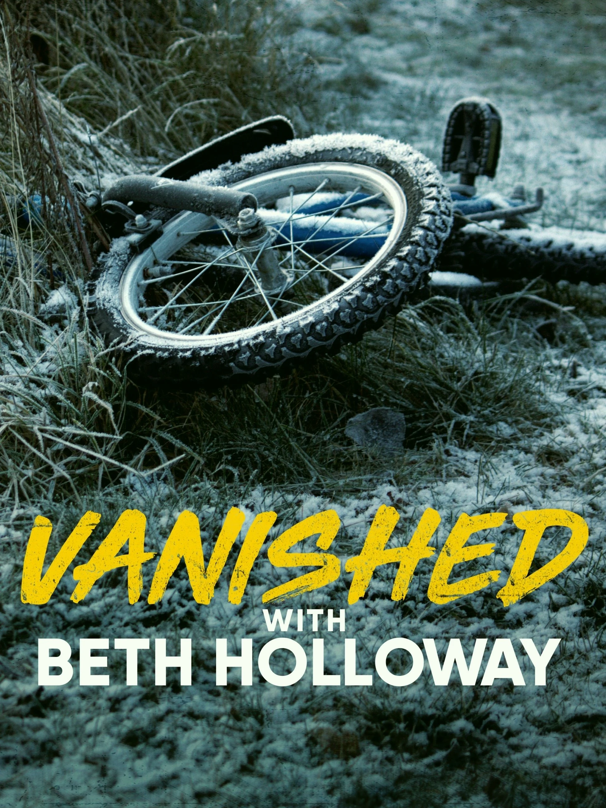 Poster  de Vanished with Beth Holloway