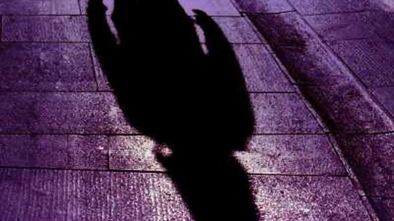 Foto de Obsession: Dark Desires
