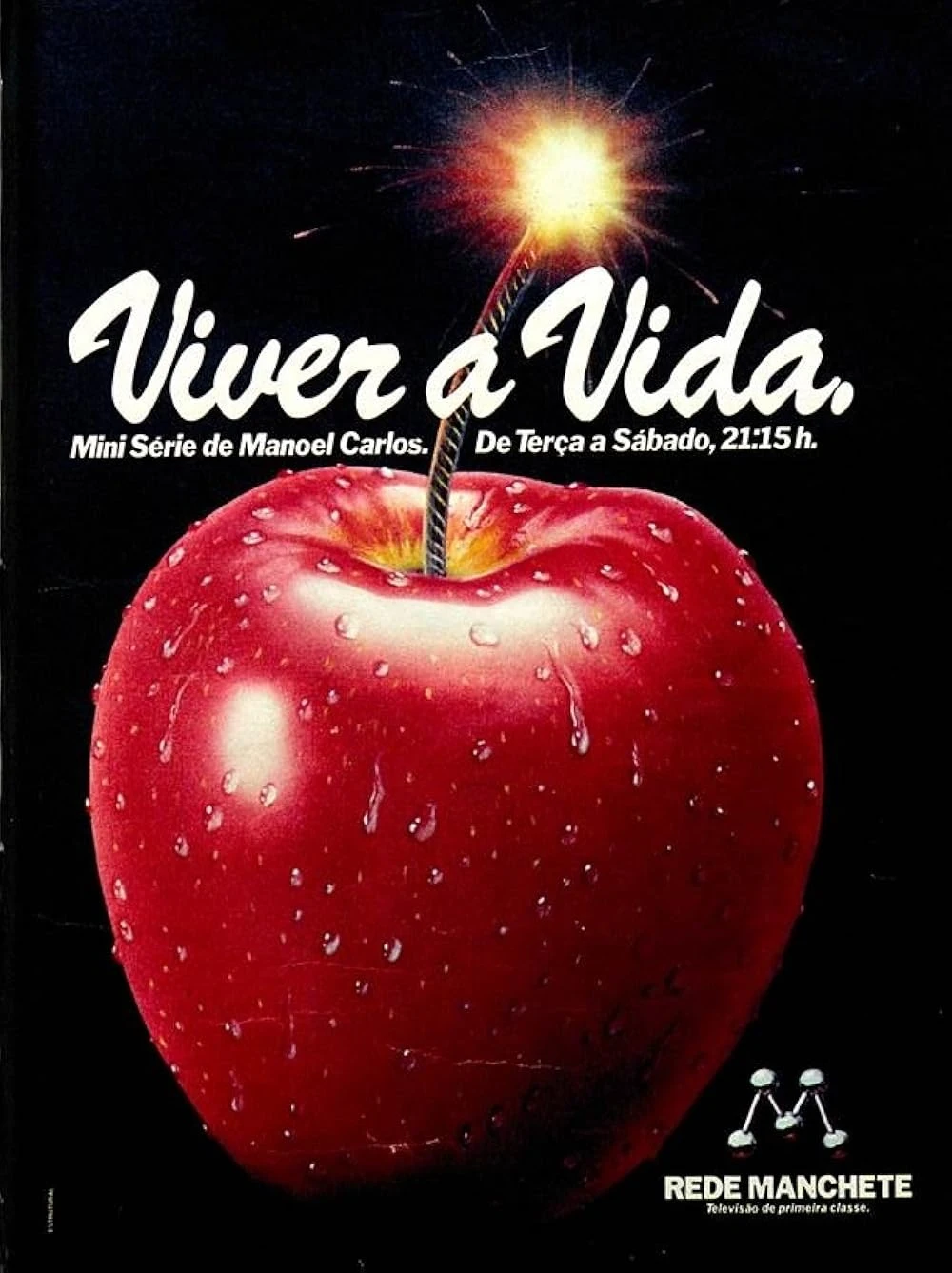 Poster  de Viver a Vida