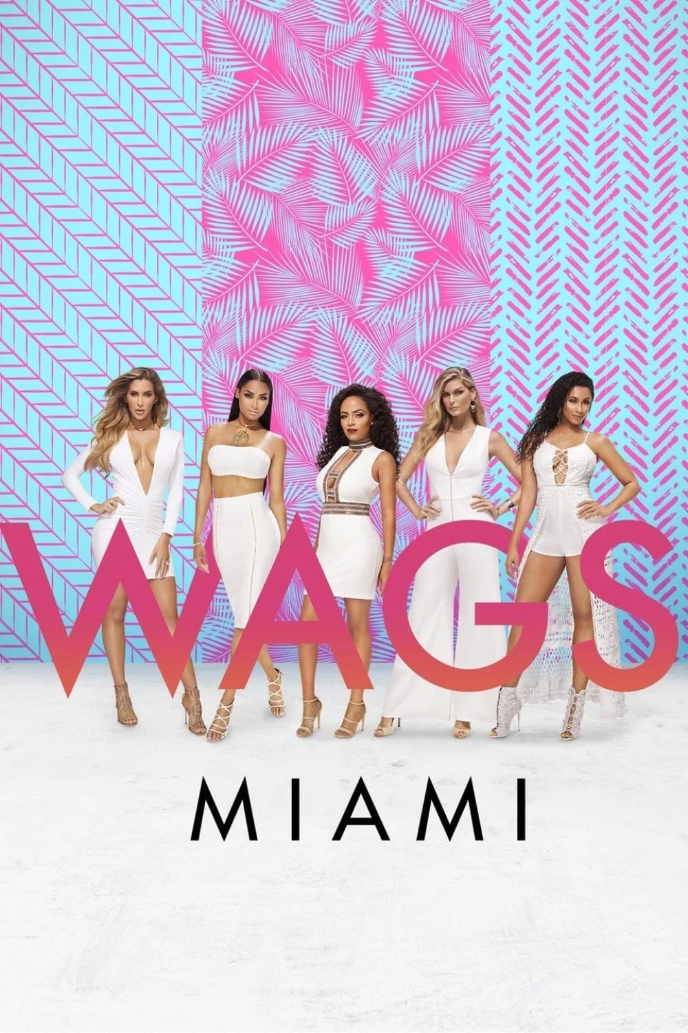 Poster  de WAGS Miami