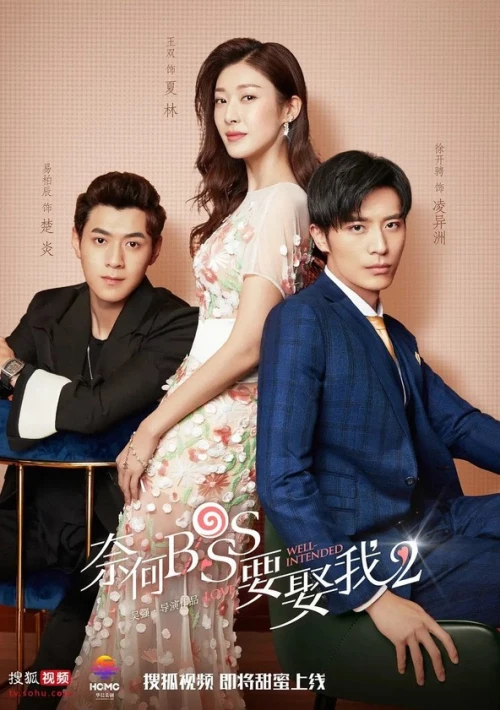 Poster  de Well-Intended Love