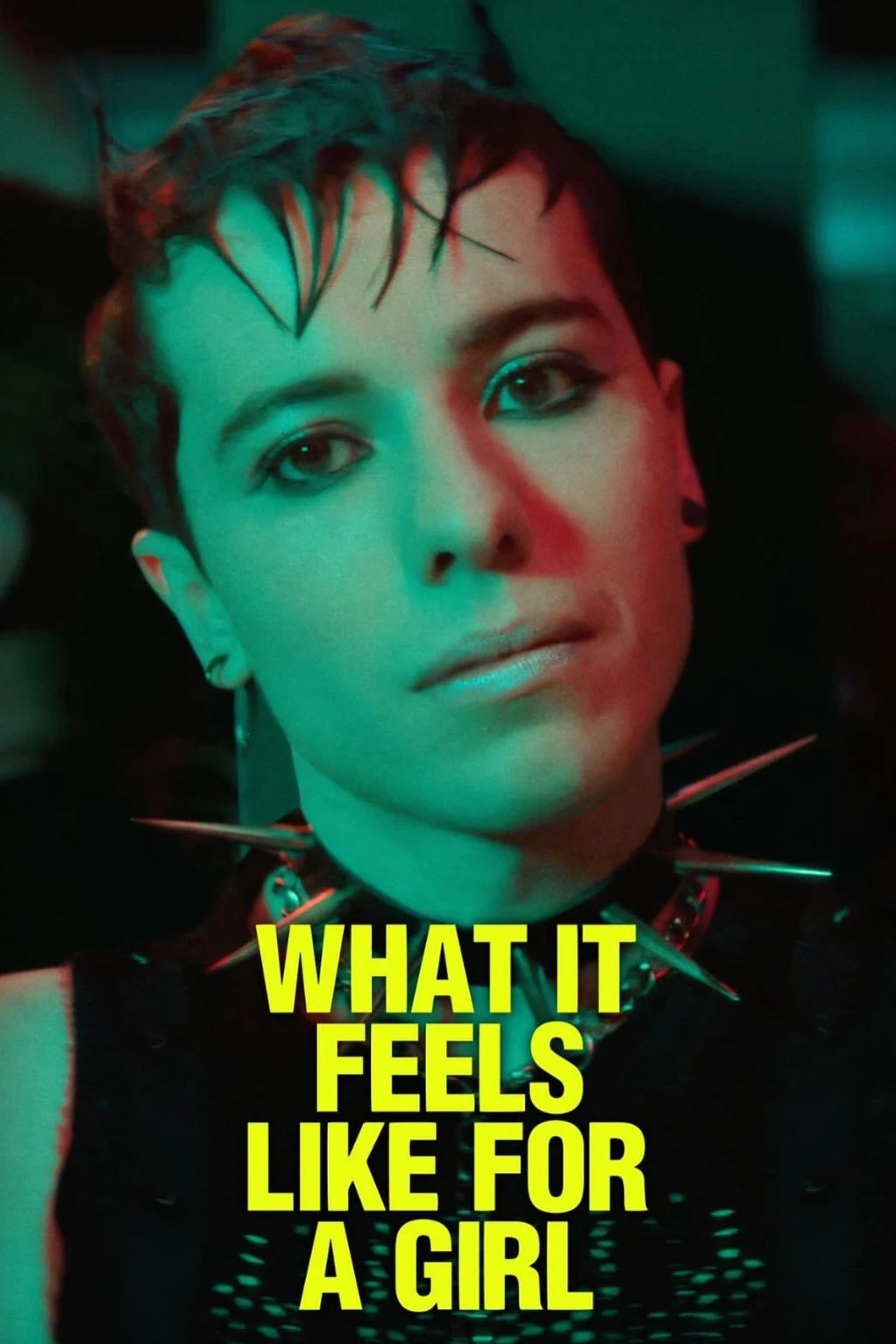 Poster  de What It Feels Like for A Girl en inglés