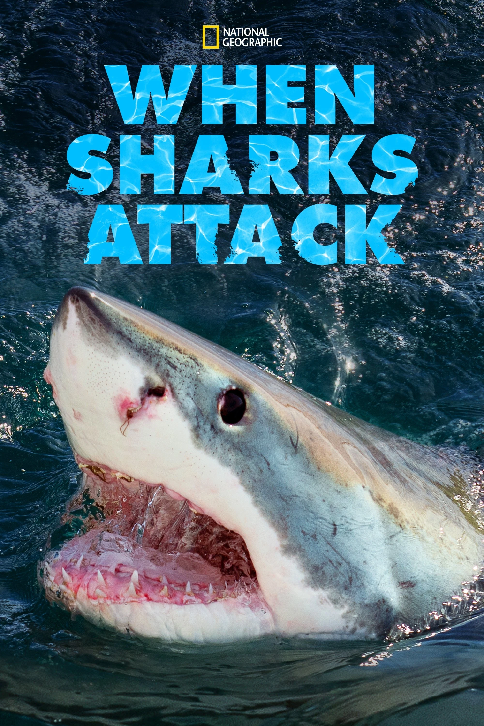 Poster  de When Sharks Attack en inglés