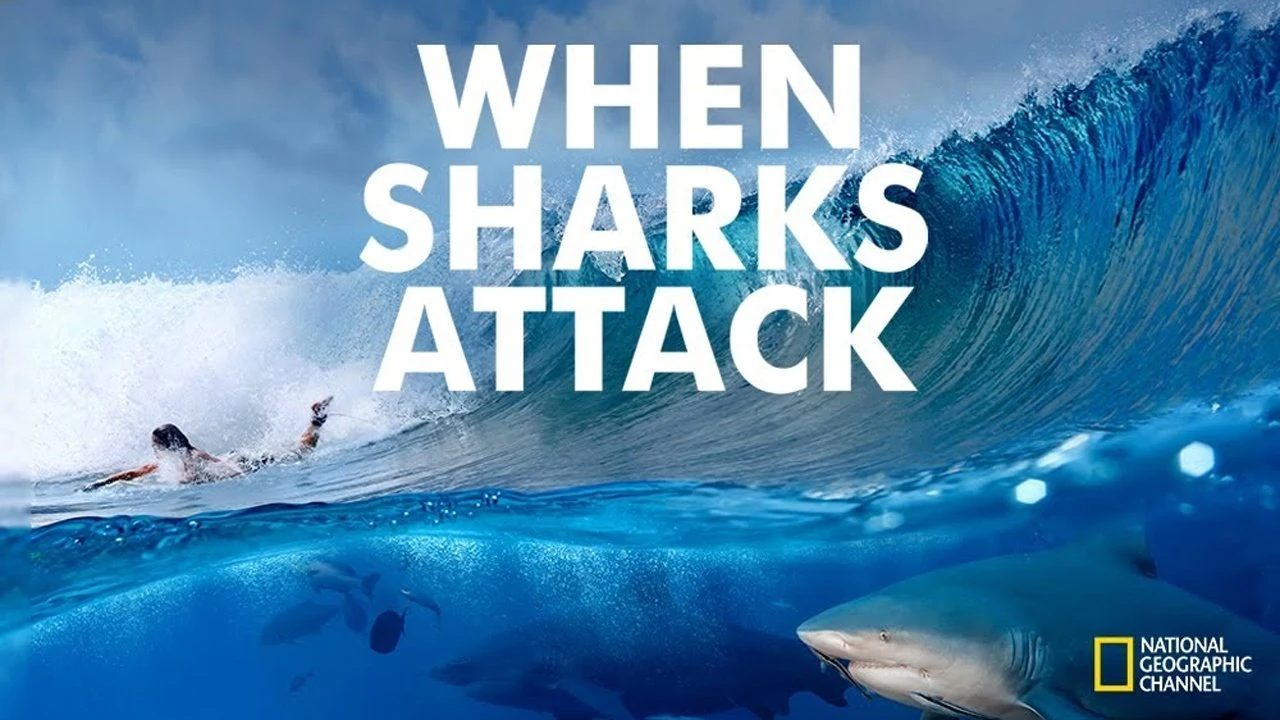 Foto de When Sharks Attack