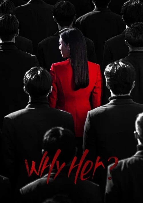Poster  de la temporada 1 de Why Her?