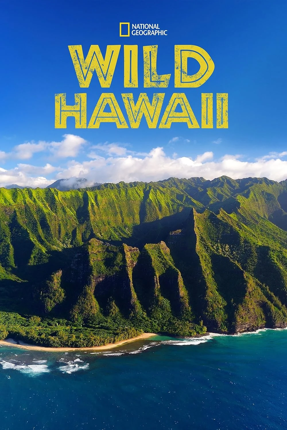 Poster  de Wild Hawaii