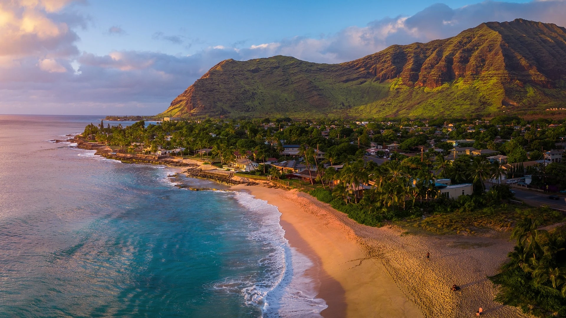 Foto de Wild Hawaii