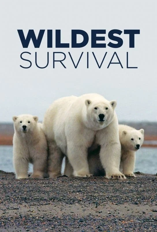 Poster  de Wildest Survival