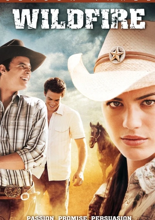 Poster  de Wildfire