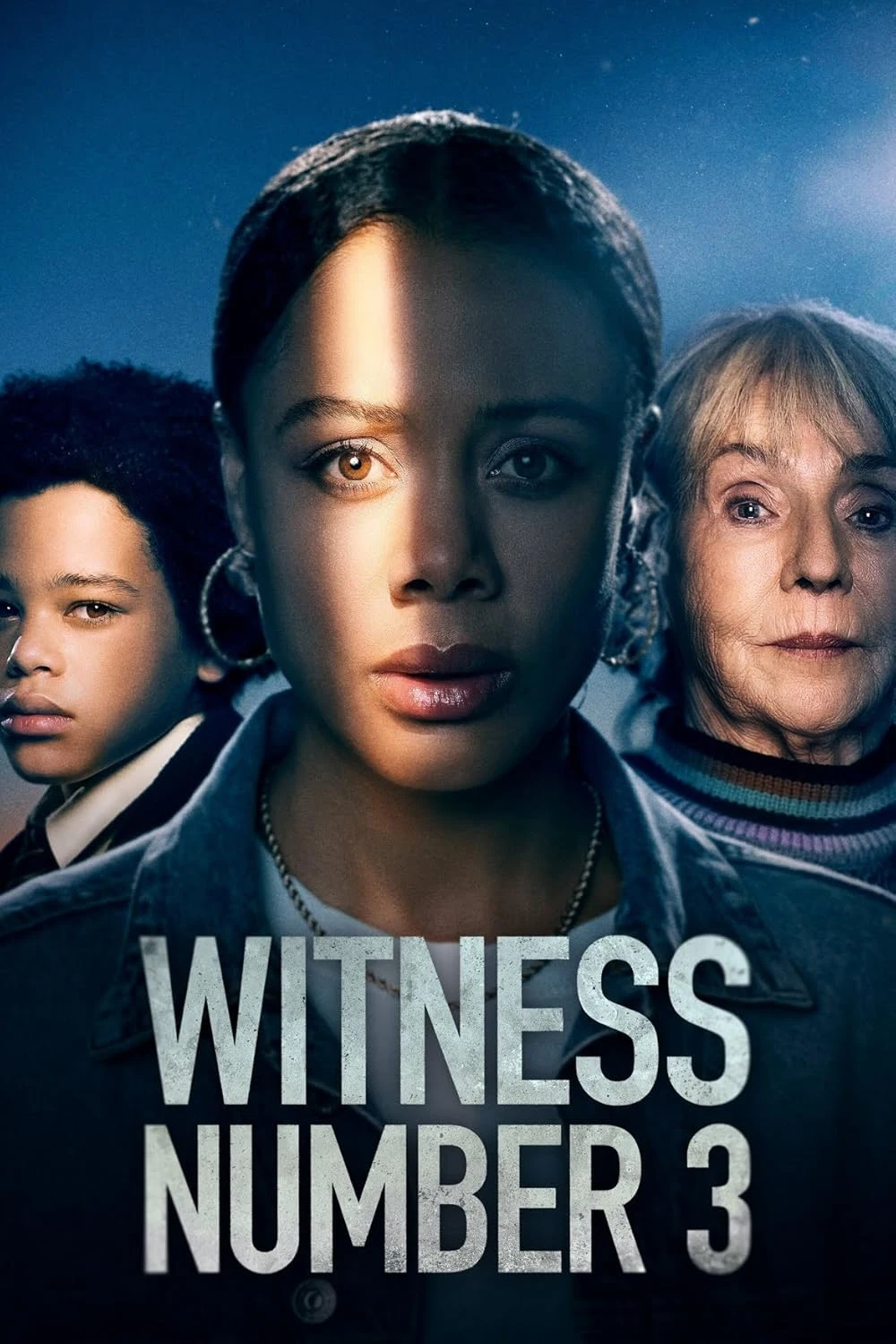 Poster  de Witness Number 3