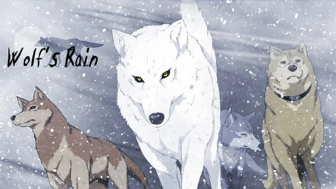 Foto de WOLF'S RAIN