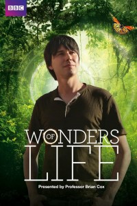 Serie Wonders of Life