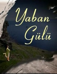 Serie Yaban Gülü