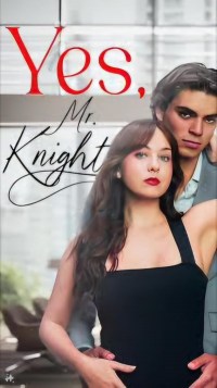 Serie Yes Mr. Knight