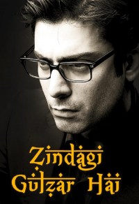 Serie Zindagi Gulzar Hai