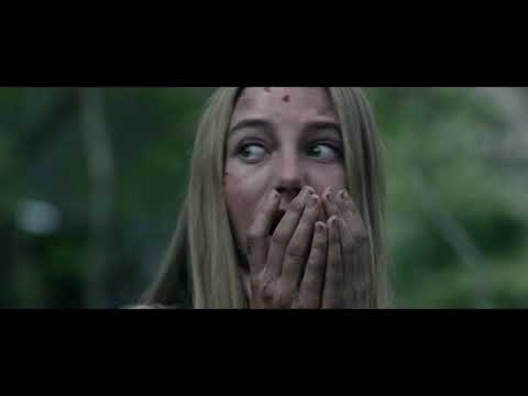 Wrong Turn