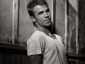 Cam Gigandet