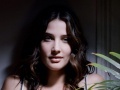 Cobie Smulders