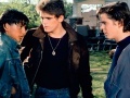 Matt Dillon