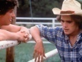 Matt Dillon