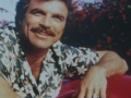 Tom Selleck