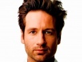 David Duchovny