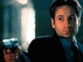 David Duchovny