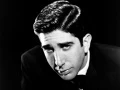 David Schwimmer