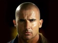 Dominic Purcell