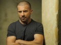 Dominic Purcell