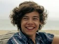 Harry Styles