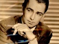Alan Ladd