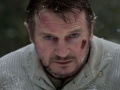 Liam Neeson