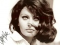 Sophia Loren