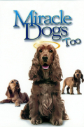 Película Miracle Dogs Too