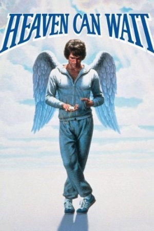 El cielo puede esperar