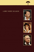 Película A Dry White Season