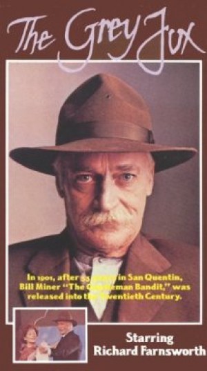 El zorro gris