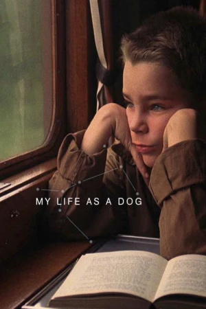 Mi vida como un perro