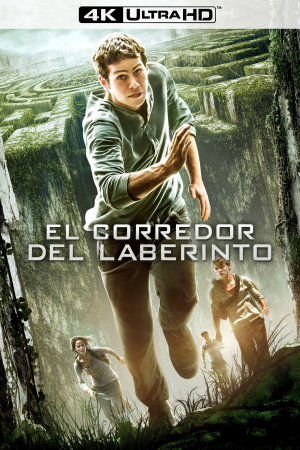 El corredor del laberinto