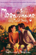 Película Mood Indigo