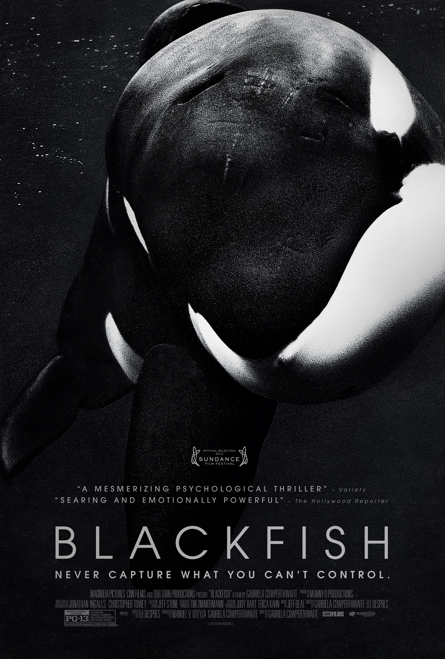 Blackfish